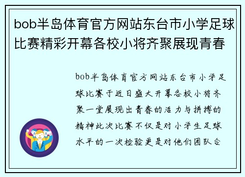 bob半岛体育官方网站东台市小学足球比赛精彩开幕各校小将齐聚展现青春风采